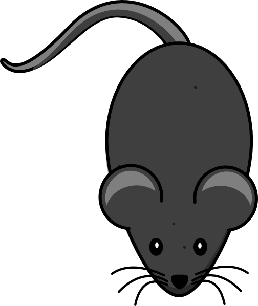 Mouse With Grey Tail Clip Art At Clker Com   Vector Clip Art Online