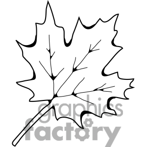 Royalty Free Sugar Maple Leaf Clipart Image Picture Art   387458