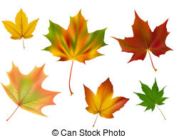 Sugar Maple Leaf Clipart   Free Clip Art Images