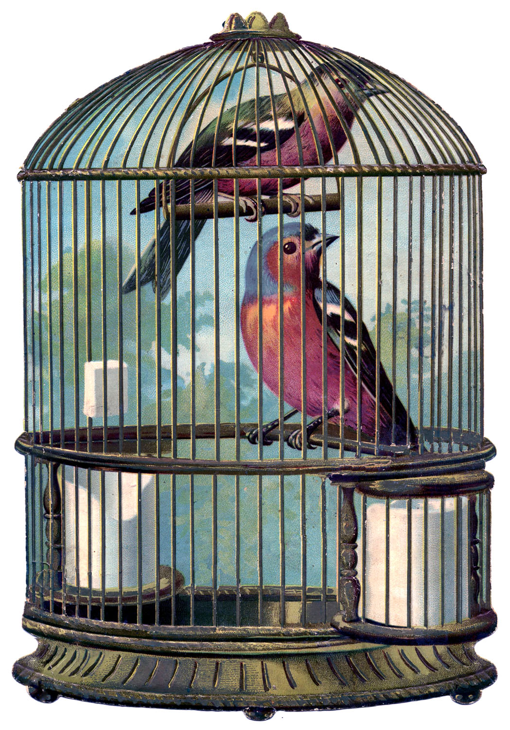 Vintage Graphic   Fabulous Bird Cage With Birds   The Graphics Fairy