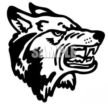 Animal Clipart Net Clipart Of An Aggressive Wolf Showing Its Teeth