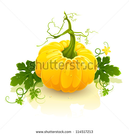 Pumpkin Stem Clipart Vector Clip Art Illustration