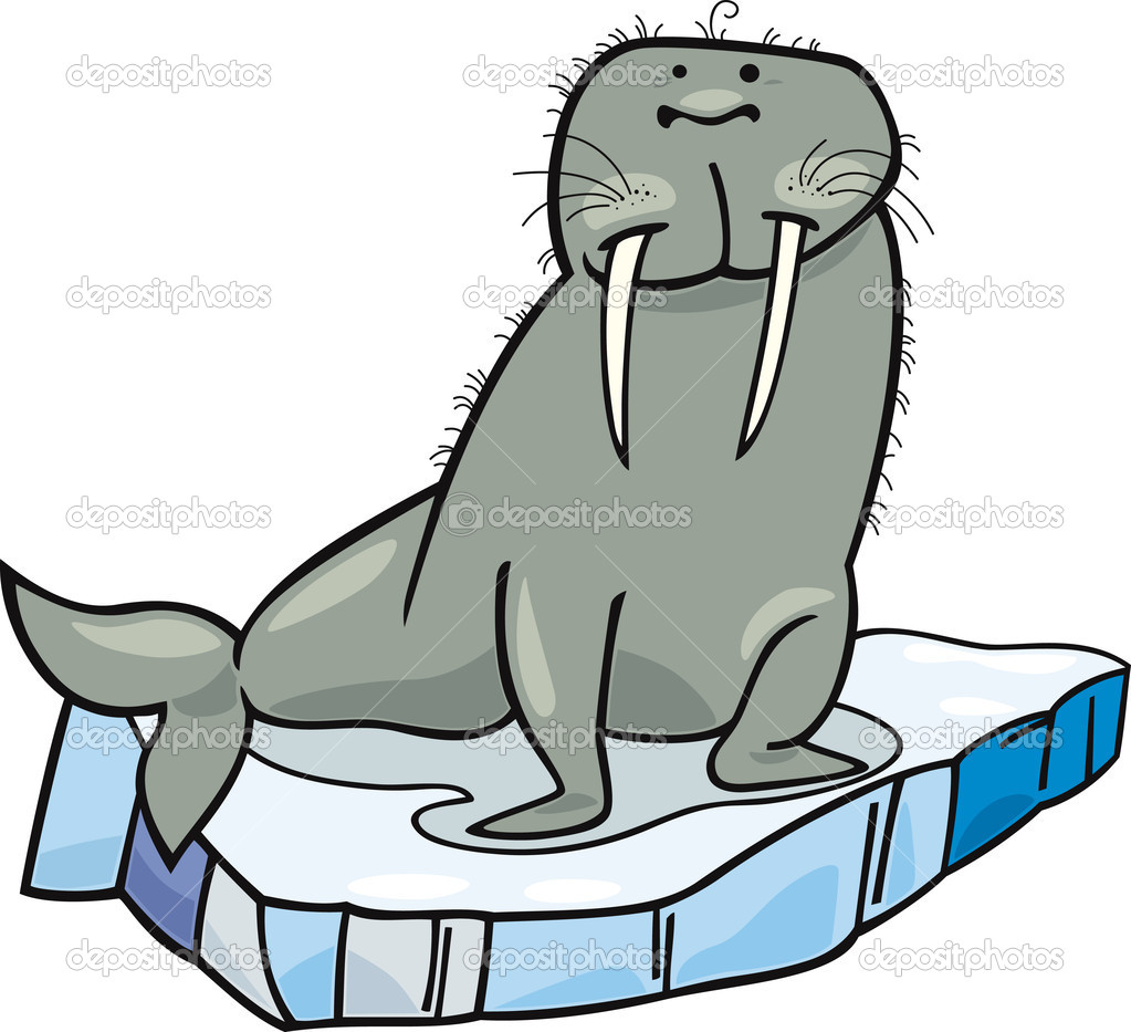 Cartoon Walrus On Floating Ice   Stock Vector   Izakowski  5787997