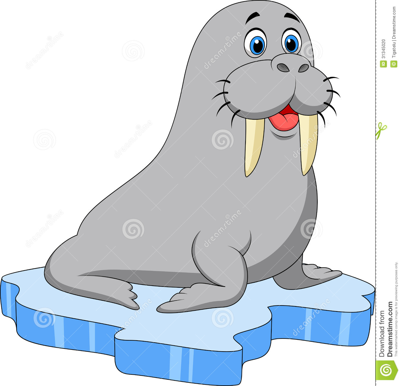Cute Walrus Cartoon On Ice Stock Photo   Image  31345020