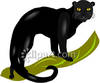 Panther Pictures Panther Clip Art Panther Photos Images Graphics