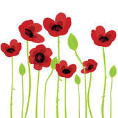 Poppy Illustrations And Clipart
