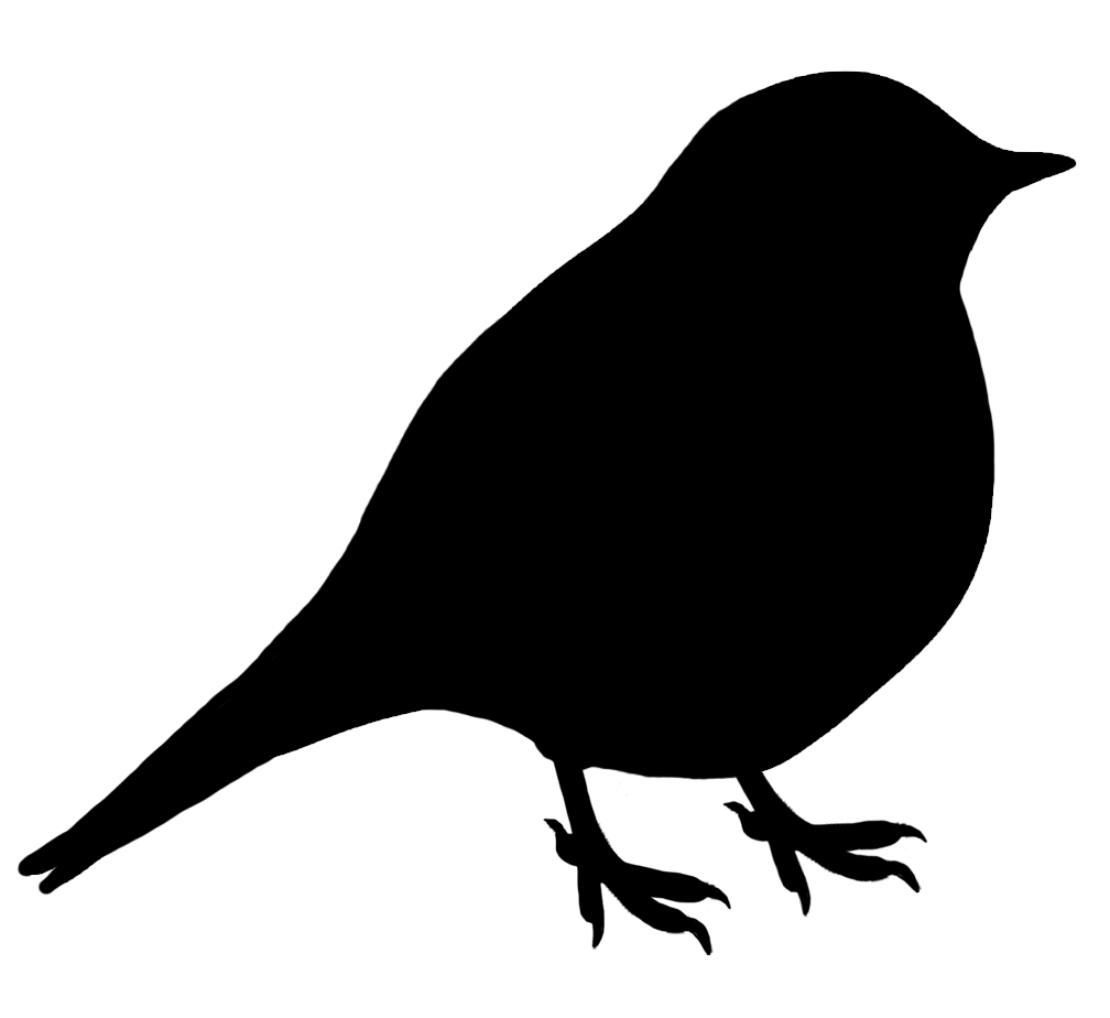 Black Silhouette Of Small Bird Png Black Silhouette Of Bird Png