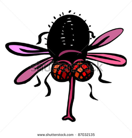 Funny Red Eyed Fly Stock Vector Illustration 87032135   Shutterstock