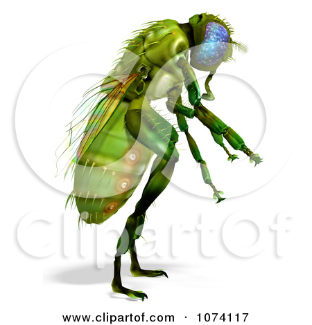 Royalty Free  Rf  Illustrations   Clipart Of Flies  5