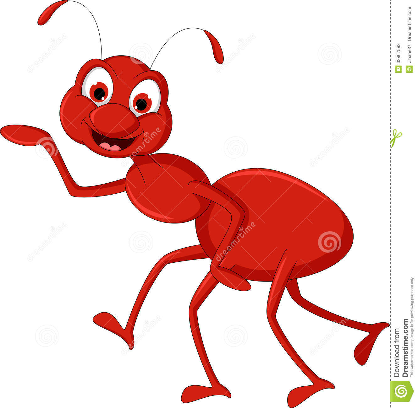 Red Ant Cartoon Presenting For You Design Stock Photos   Image