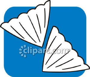 Two Coffee Filters   Royalty Free Clipart Picture