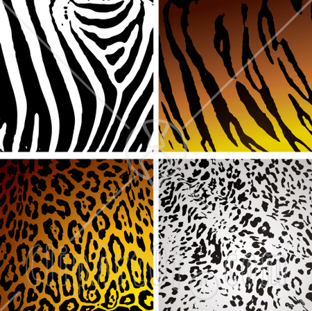 Cheetah Print Clipart Cheetah Print Backgrounds