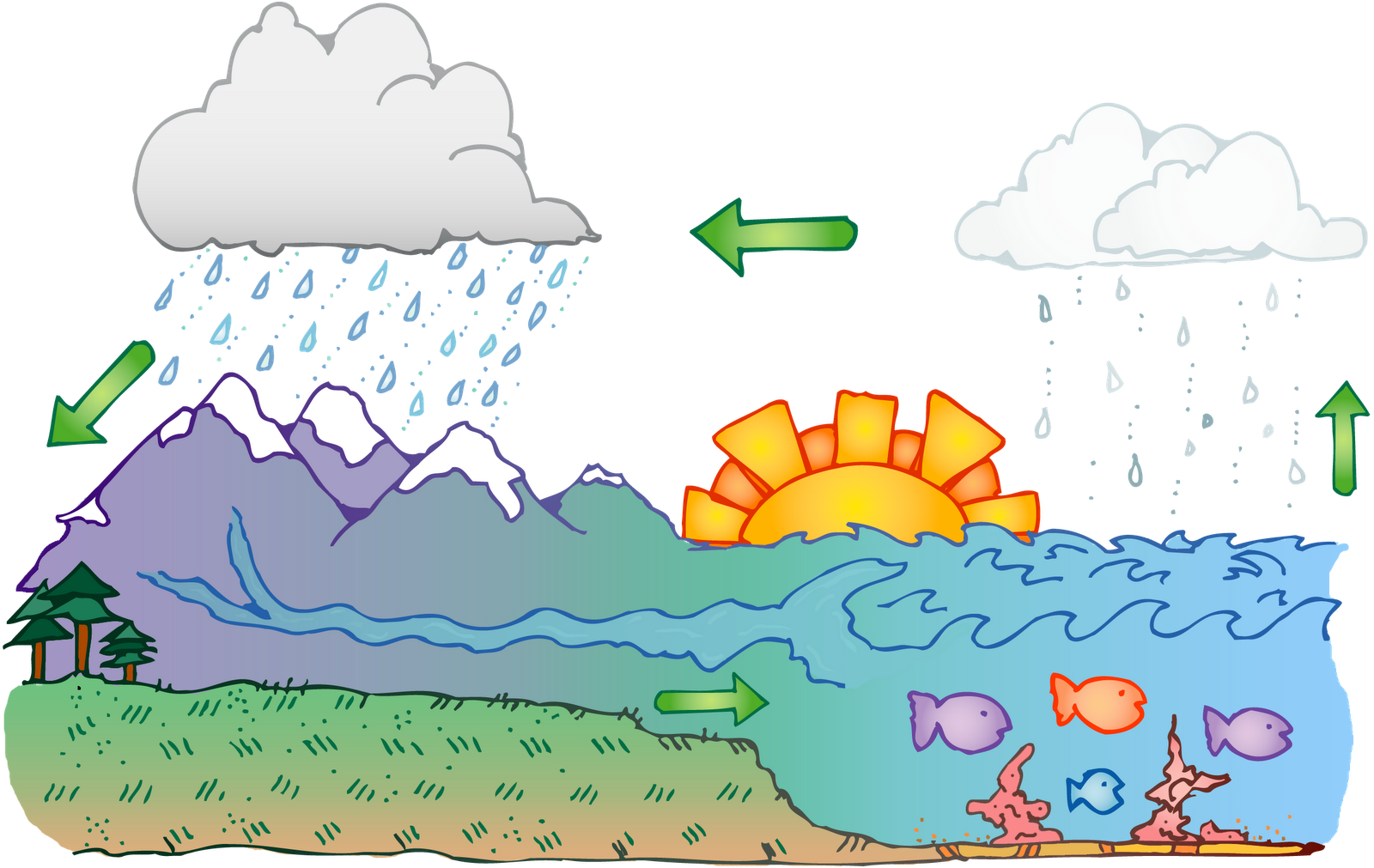 Carpatys Comearth Science Water Cycle Classroom Clipart   Carpatys