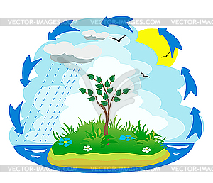 The Water Cycle   Vector Clip Art