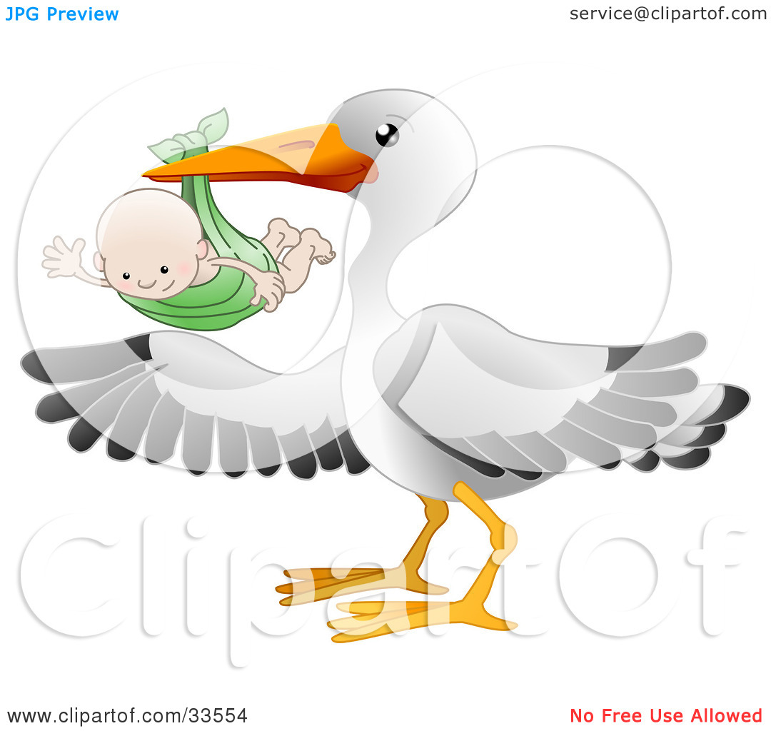 Clipart Illustration Of A White Stork Bird With Black Tipped Wings