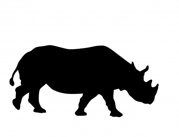 Rhino Silhouette Clipart Free Stock Photo   Public Domain Pictures