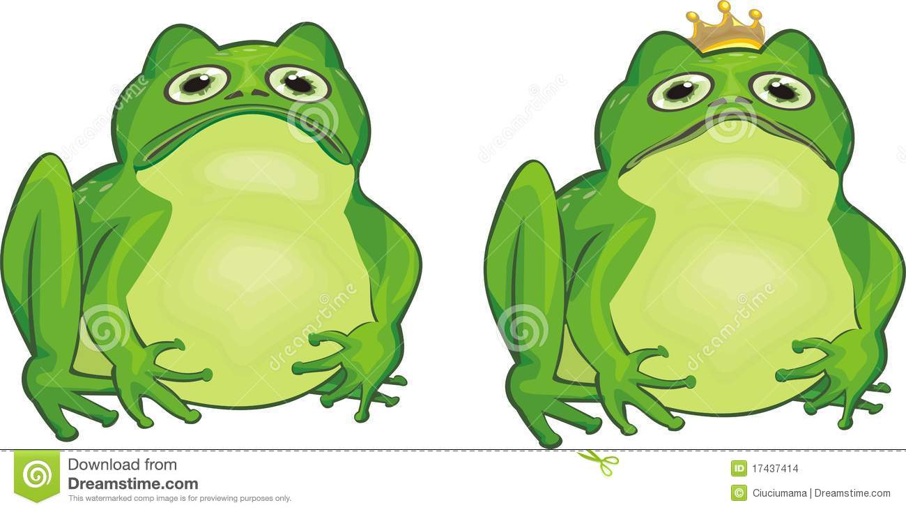 Frog Stock Images   Image  17437414