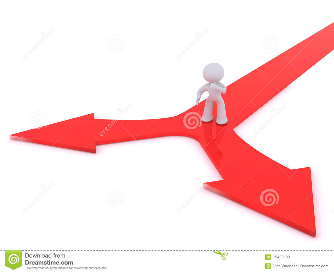 Decision Making At A Y Junction Stock Photo   Image  15493130