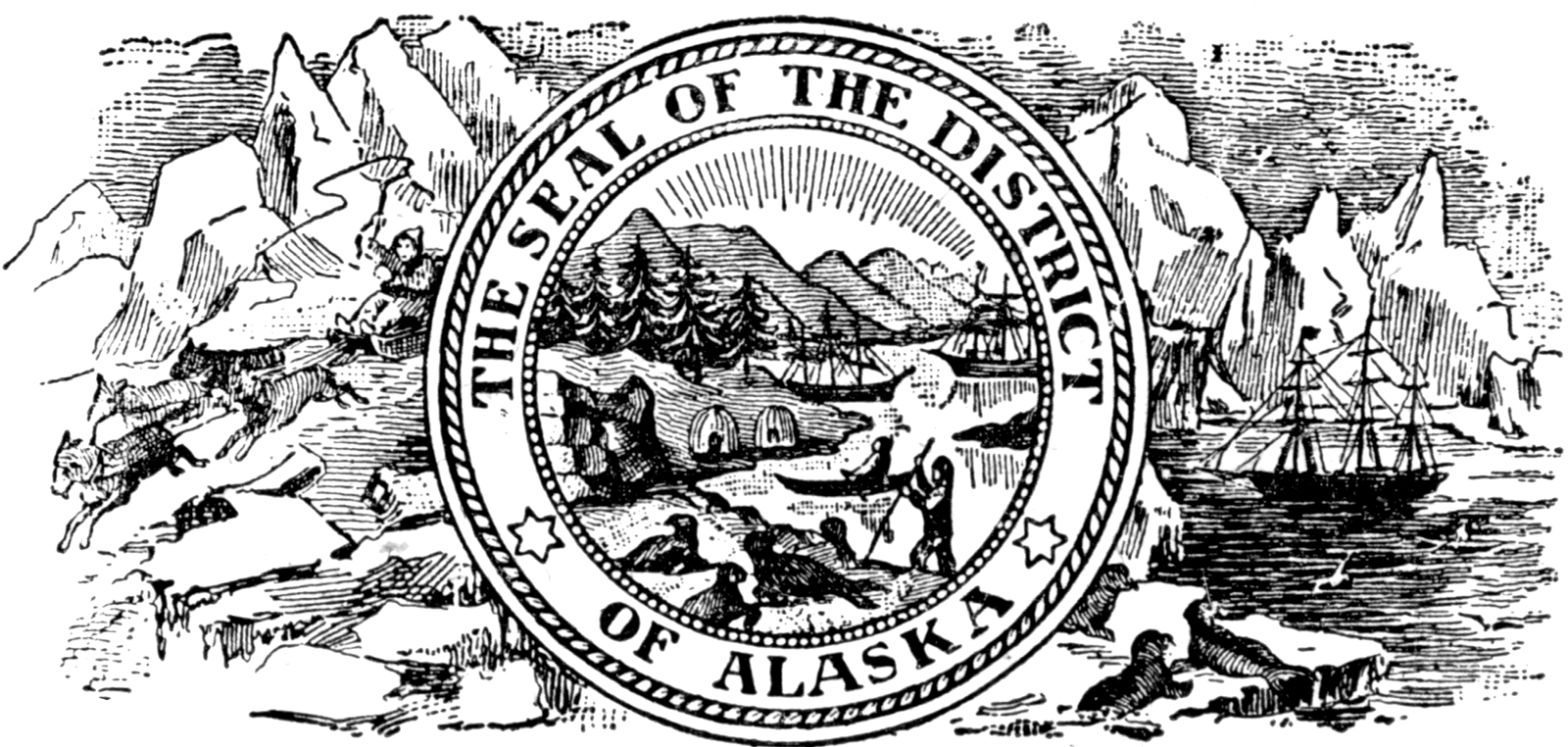 Alaska Seal   Clipart Etc