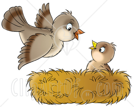 31256 Clipart Illustration Of A Cute Baby Bird In A Nest Looking Up At