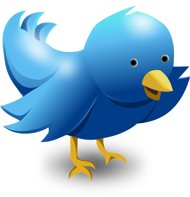 Free Vector Graphic  Twitter Tweet Bird Funny Cute   Free Image On
