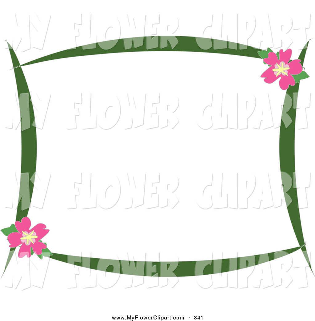 Pretty Stationery Border Of Green Branches And Pink Hibiscus Flowers