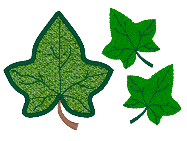 Images Of An Ivy Leaf   Free Cliparts That You Can Download To You