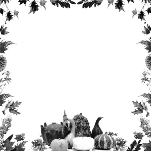 Free Thanksgiving Borders And Frames   Free Clipart