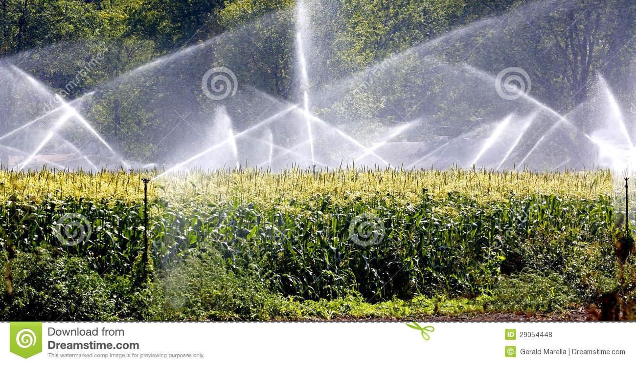 Crop Irrigation  Royalty Free Stock Photos   Image  29054448