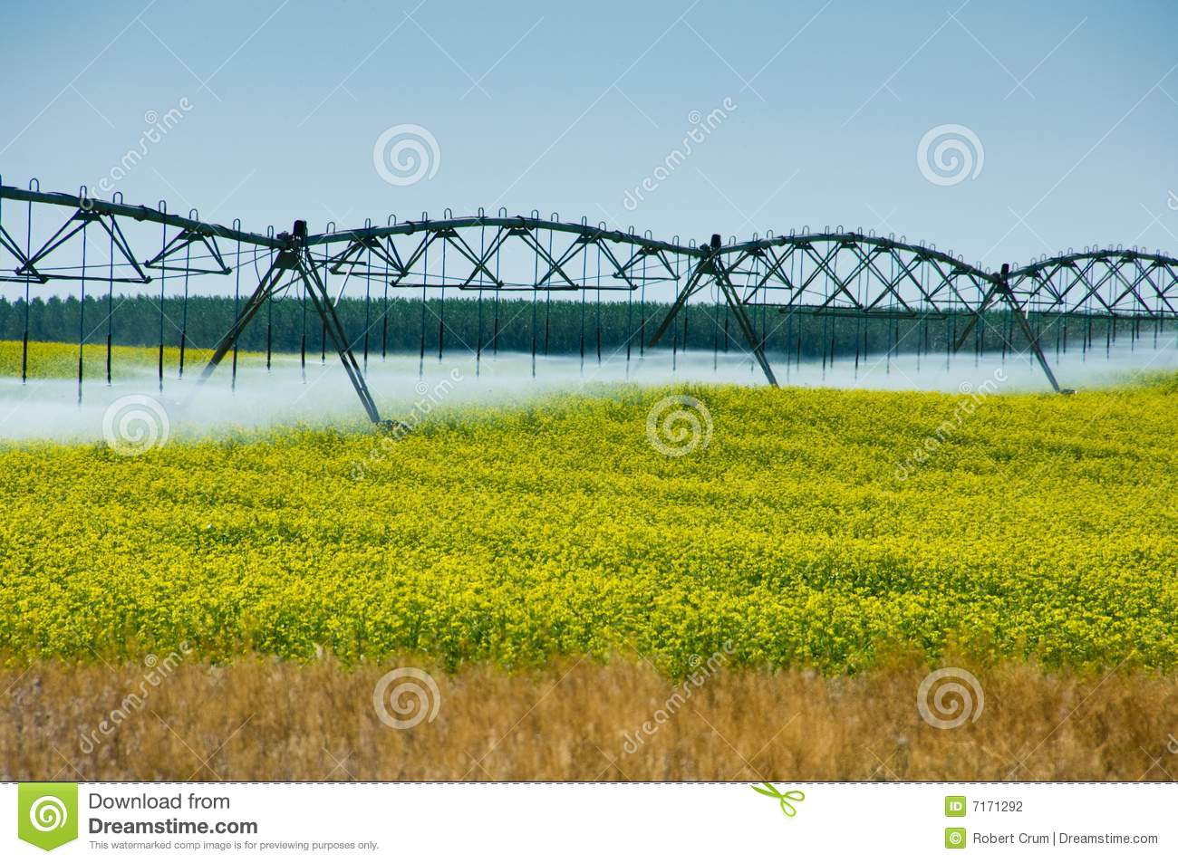 Irrigation System  Stock Photography   Image  7171292