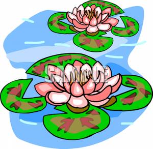 Water Lilies On A Pond Clipart Picture