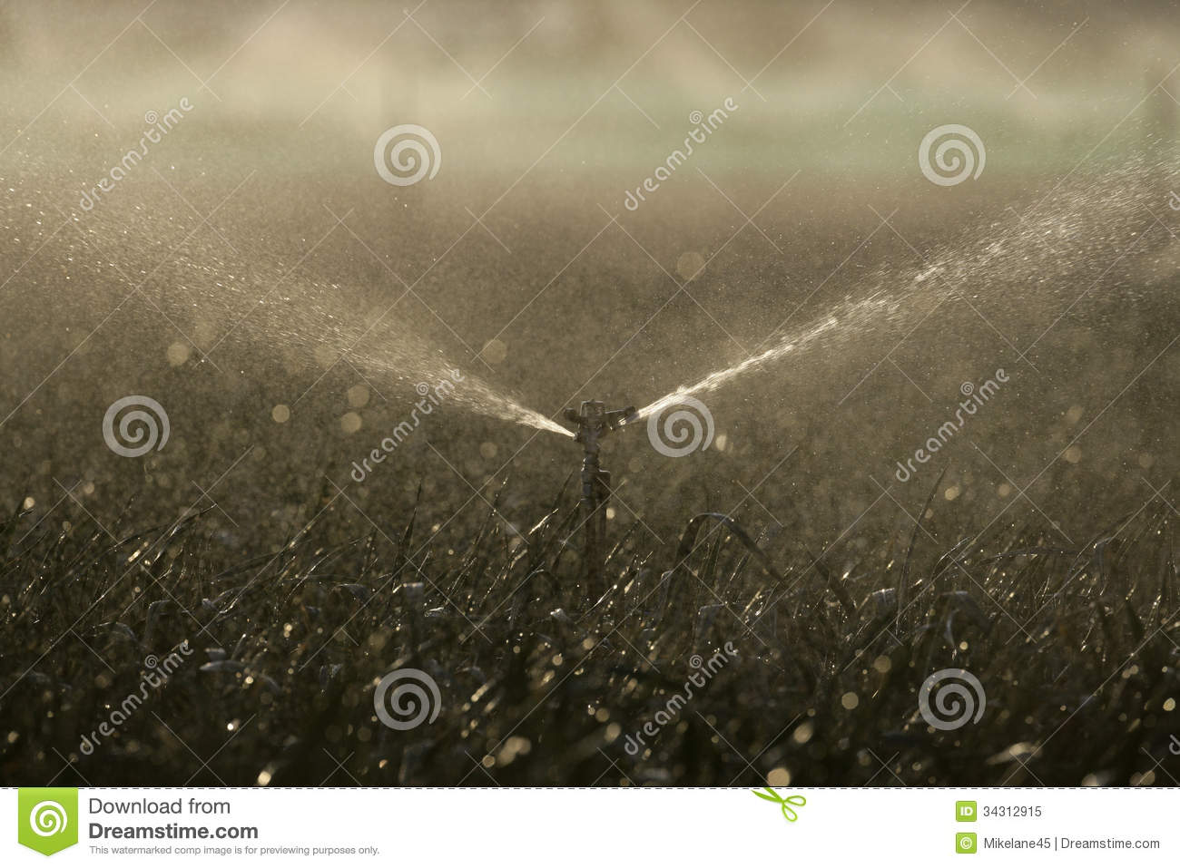 Water Sprinklers On Crops Royalty Free Stock Photo   Image  34312915