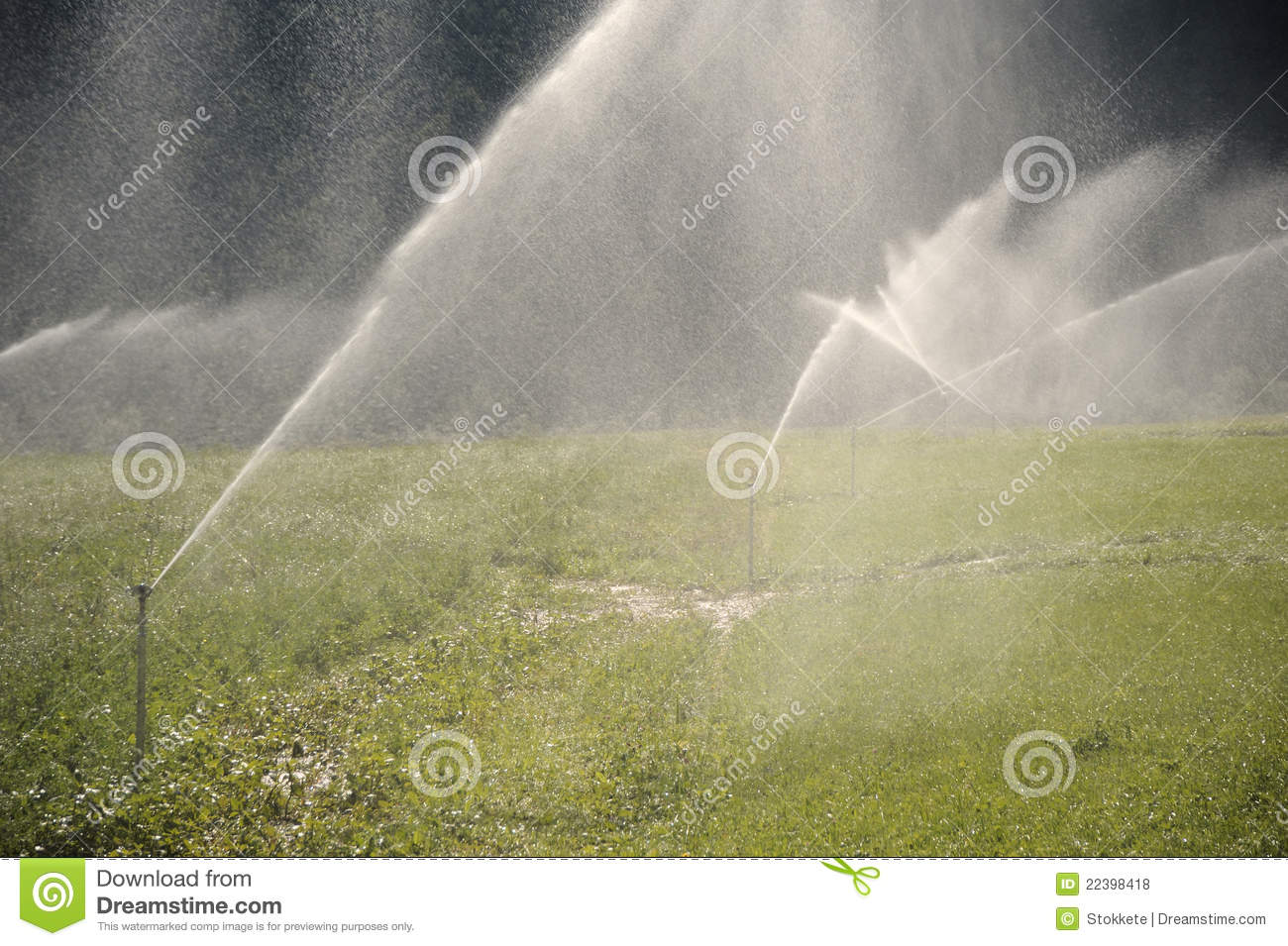 Water Sprinklers Royalty Free Stock Photos   Image  22398418