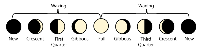 How Do The Positions Of The Sun And Moon Determine Moon Phases