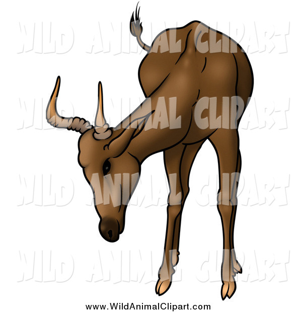 Clip Art Of A Brown Antelope With Short Antlers By Dero    1073