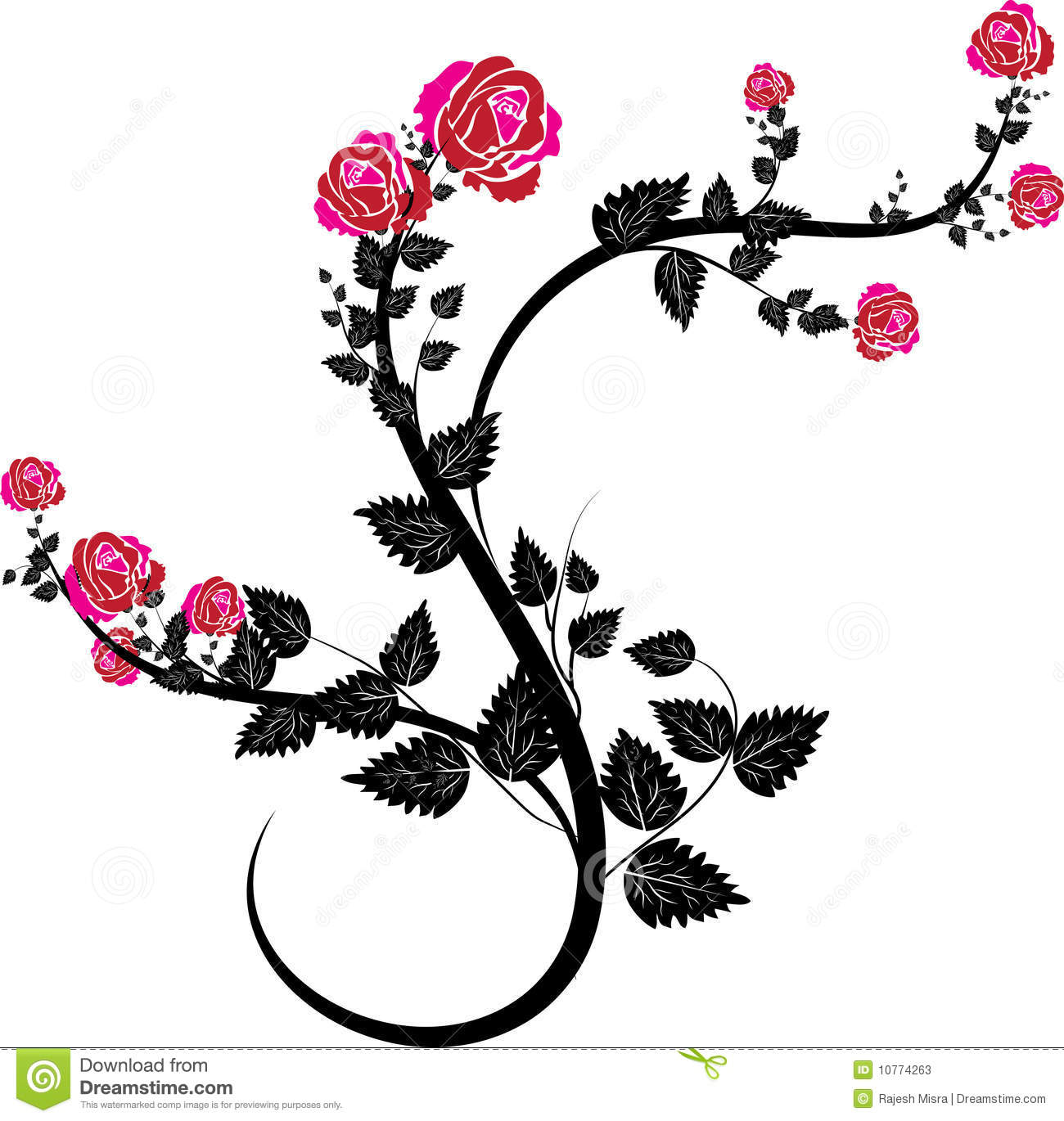 Vector Vines With Red Roses