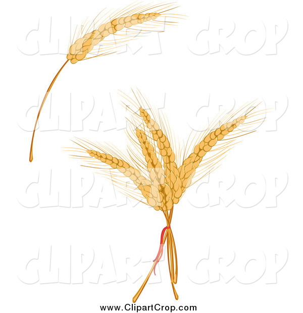 Clip Art Vector Of Grains Agriculture Clip Art Seamartini Graphics