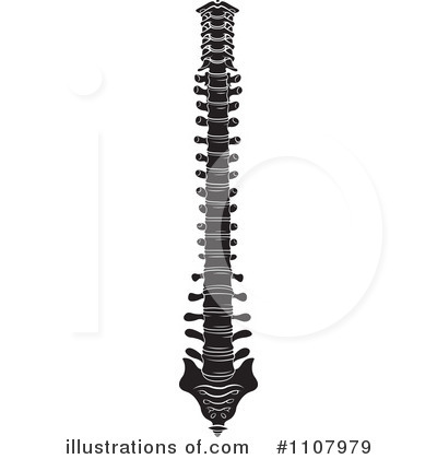 Spine Clipart  1107979   Illustration By Lal Perera