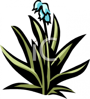 0511 0902 2720 1730 Blue Hyacinth Clipart Image Jpg