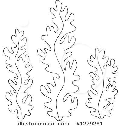 Colring Pages Seaweed Clipart   Cliparthut   Free Clipart