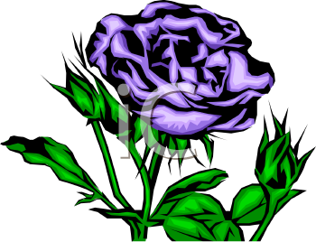 Find Clipart Rose Clipart Image 59 Of 326