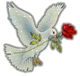 Glitter Graphics Flowers And Trees White Dove With Red Rose #5GqAwb -  Clipart Suggest