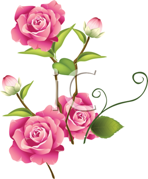 Royalty Free Rose Clip Art Flower Clipart