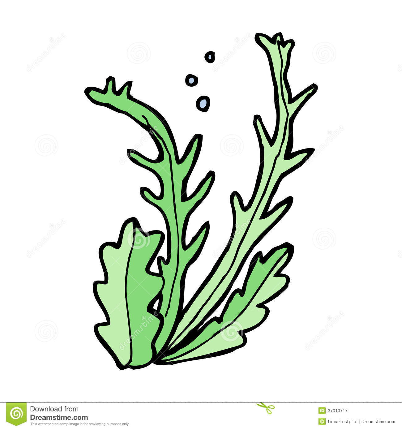 Seaweed Clipart   Clipart Panda   Free Clipart Images