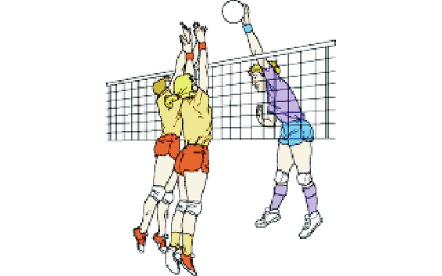 City Adult Co Ed Volleyball League Plans Announced   Columbia Daily