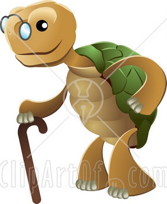 Cute Turtle Clipart Image Search Results