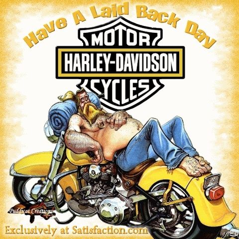 Harley Davidson Motorcycles Pictures   Things That Make You Go Hmmm