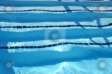 Lap Swimming Pool Lanes Clip Art
