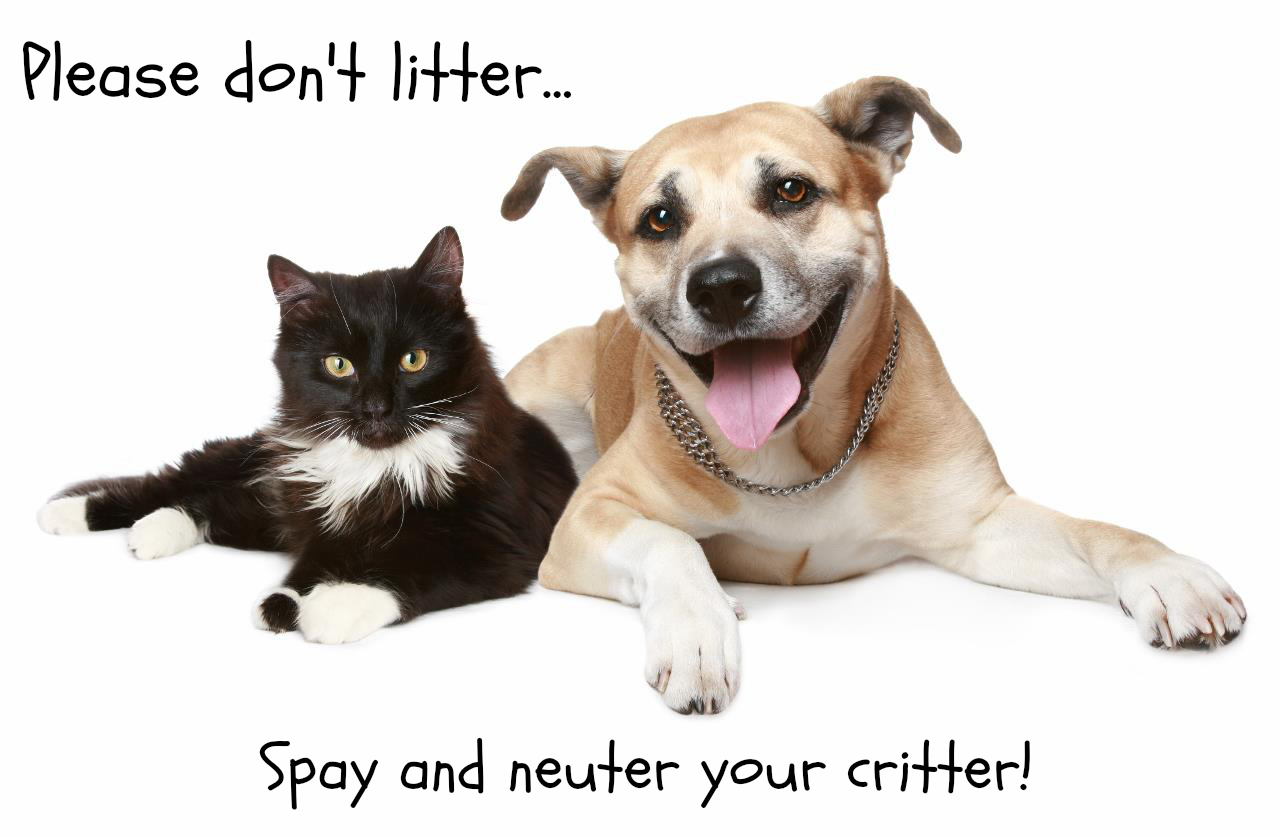 Benefits Of Spaying And Neutering Your Pets