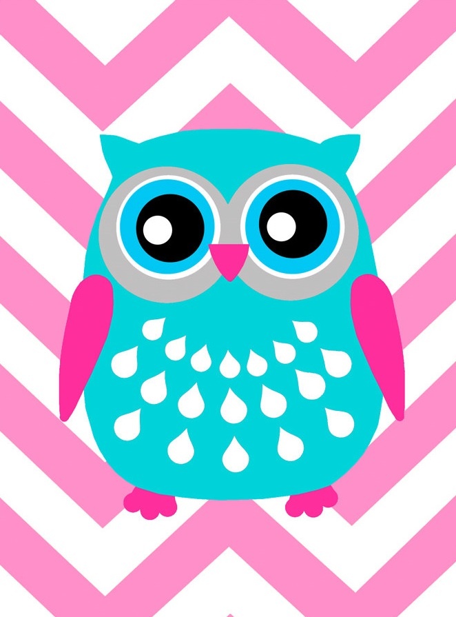 Cute Owl Graphic